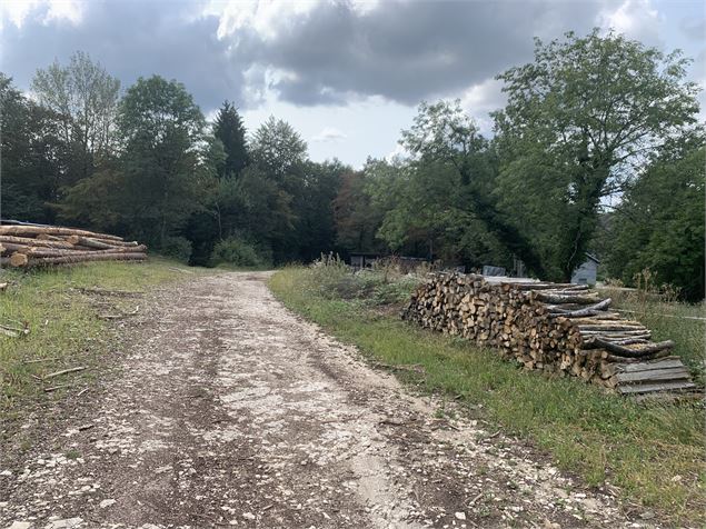 Le petit tour du plateau de Chamoise - Maxime Michel