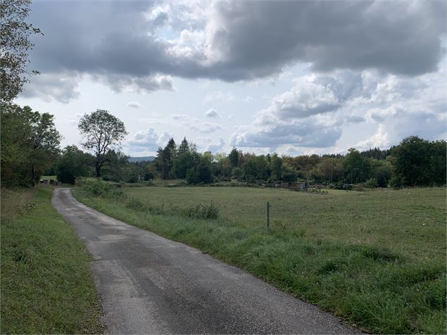 Le petit tour du plateau de Chamoise - Maxime Michel