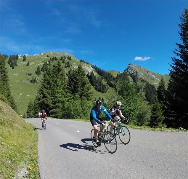 Le Col de la Ramaz - Alt. 1619 m - © Savoie Mont Blanc - Lansard