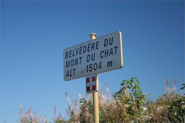 Montée cyclo du Relais du mont du Chat (Versant St Paul sur Yenne) - © Savoie Mont Blanc - Anglade