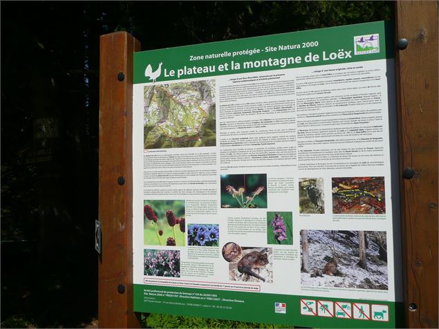 Boucle pédestre : Plateau de Loëx