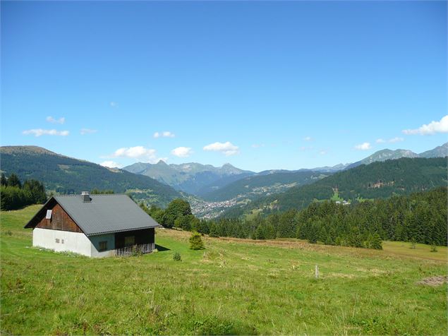 Boucle pédestre : Plateau de Loëx