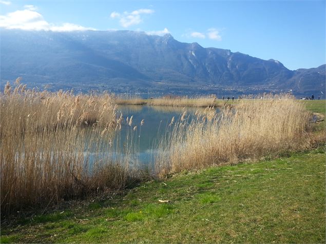 Lac du Bourget - Jocelyne Bianchini ATD73