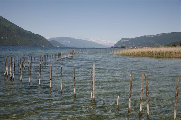 vue sur le lac - Jocelyne Bianchini ATD73