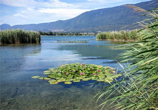 lac du Bourget - Jocelyne Bianchini ATD73