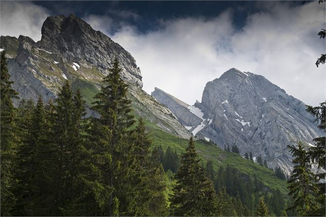 Combe de Tardevant - SavoieMontBlanc-Martelet