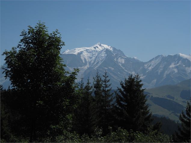 sentier du Tétras-Lyr - Conseil départemental de Haute-Savoie