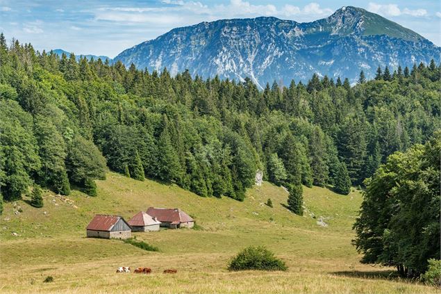 Tour des Bauges Chalet Reguéraz - SMB - Lansard