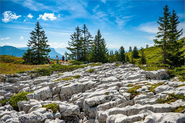 Tour des Bauges - Lapiaz du Margériaz - SMB - Lansard