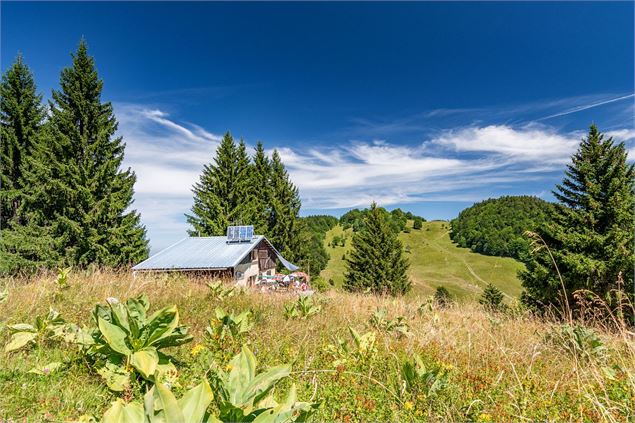 Tour des Bauges - SMB - Lansard