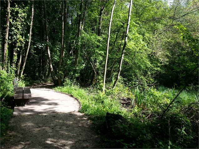 Cheminement dans les marais - Jocelyne Bianchini ATD73