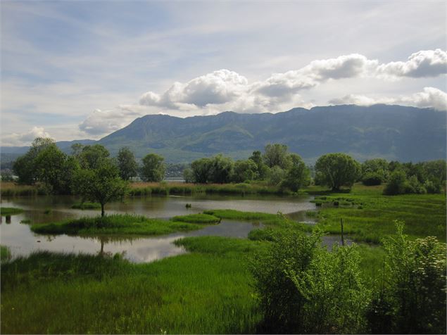 Etang des Aigrettes vue de l'observatoire - Jocelyne Bianchini ATD73