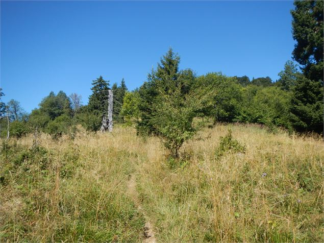 Col du Pralère - Annemasse Agglo - B. Pilia