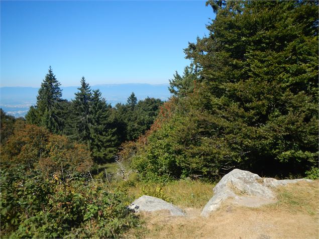 Vue depuis Pointe de Brantaz côté Léman - Annemasse Agglo - B. Pilia