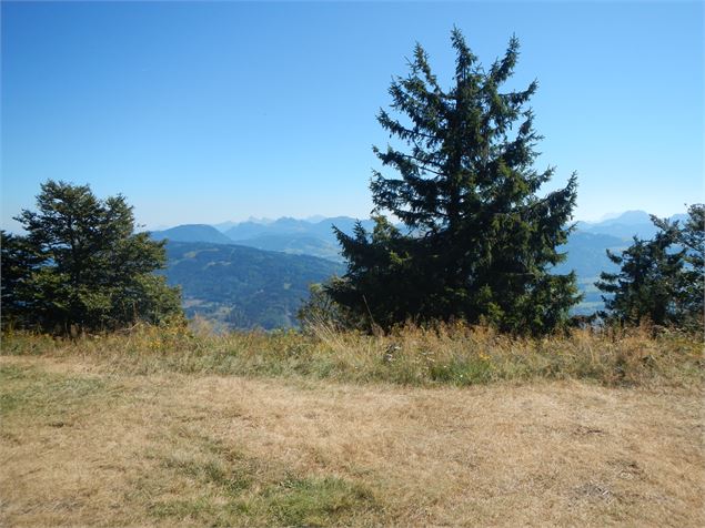 Vue depuis la Pointe de Brantaz sur Chablais - Annemasse Agglo - B. Pilia