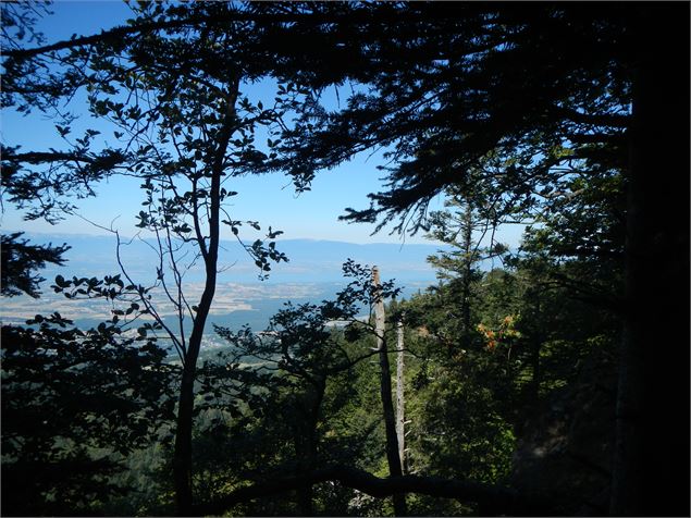 Vue sur le Léman Pralère - Annemasse Agglo - B. Pilia