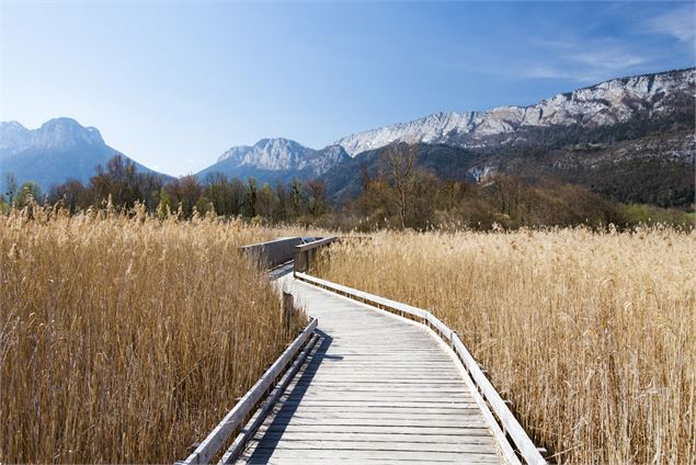 bout du lac - Crédit obligatoire ©SavoieMontBlanc-Boutet