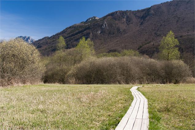 bout du lac - Crédit obligatoire ©SavoieMontBlanc-Boutet