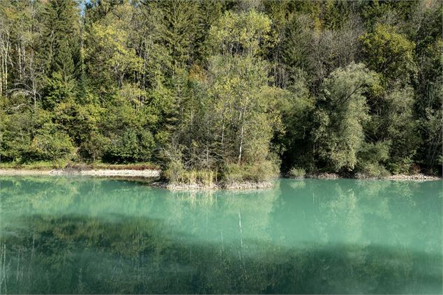 Promenade Confort : La promenade Picot - AC.Colomb