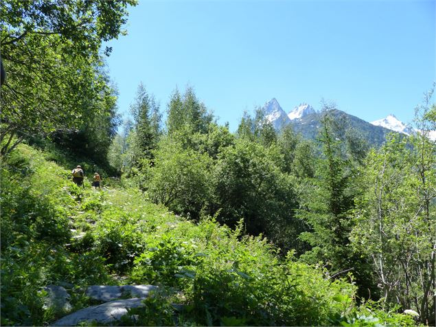 Montée depuis le Lavancher - Photo sous licence Creative Commons https://creativecommons.org/license