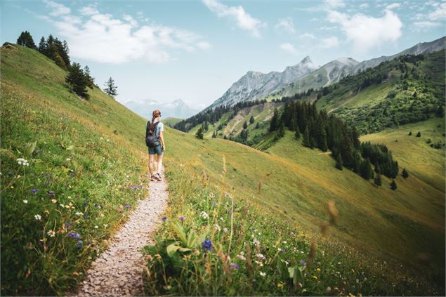 col d'Orgeval - Néaclub