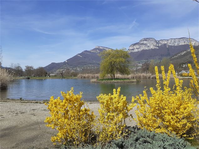 Vue montagne - Christine Haas - Grand Chambery Alpes Tourisme