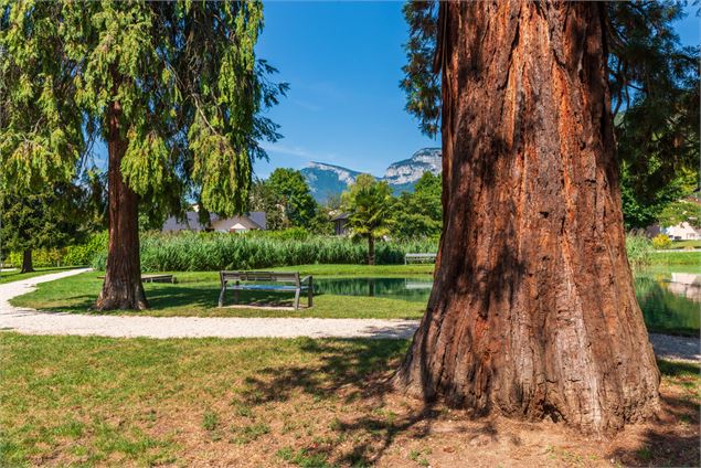 Sequoia - Christine Haas - Grand Chambery Alpes Tourisme