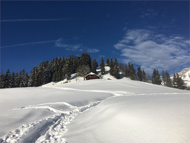 Vue depuis le Plan Mousi, à la sortie de la forêt - © Jean -Marc BAREY