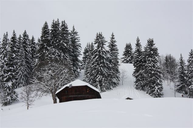 Vue depuis le Plan Mousi, à la sortie de la forêt - © Jean -Marc BAREY