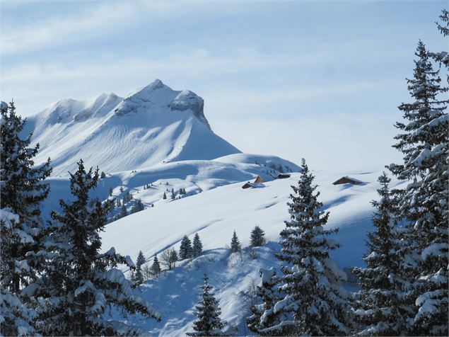 Vue depuis le Plan Mousi, à la sortie de la forêt - © Jean -Marc BAREY