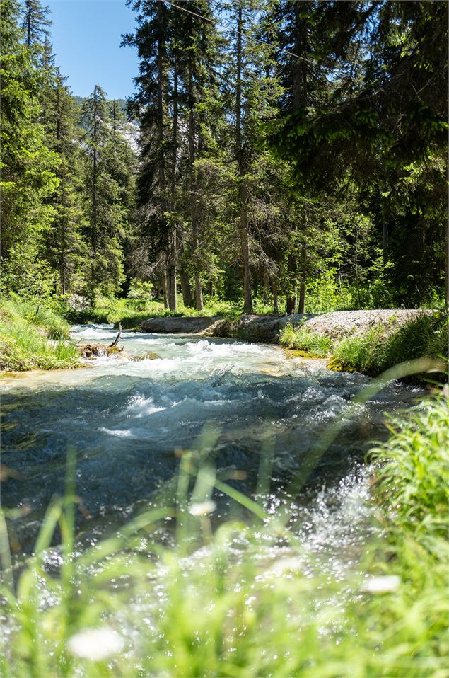 Torrent de la Rosière - Courchevel Tourisme