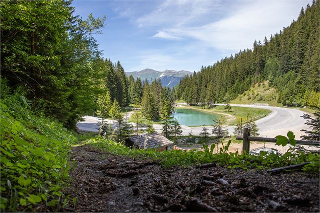 Sandraz - Bois du Ban 3 - Courchevel Tourisme