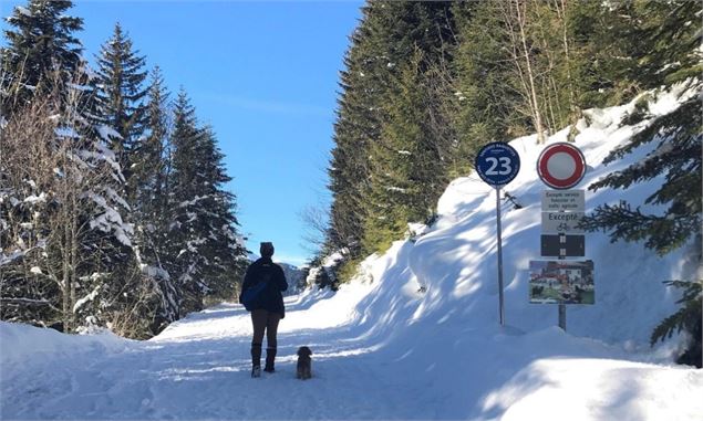 22. Morgins - Refuge Le Corbeau - Sylvain Cochard