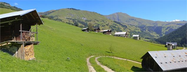 Grenier à grains ancestral, massif du Beaufortain - J. Dorol