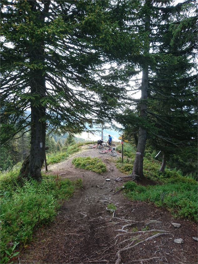 Tour de Bisanne par la Croix de Coste - OT des Saisies - R. Barnasson