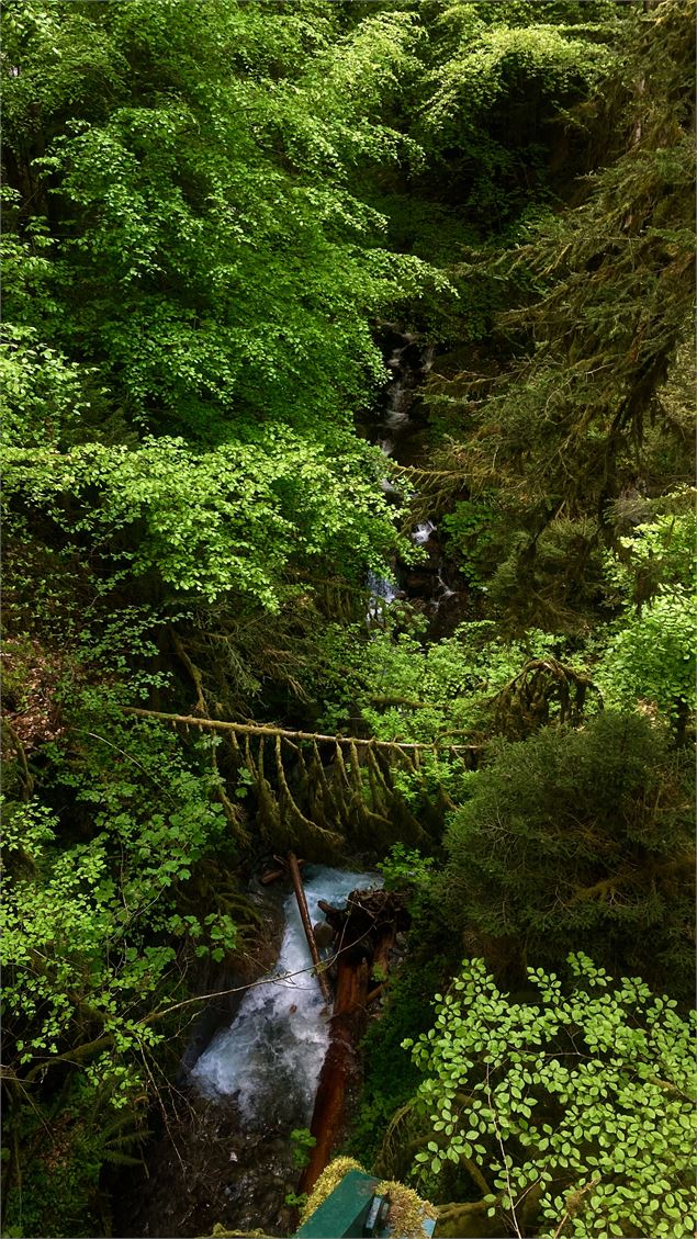 Pont Du Diable