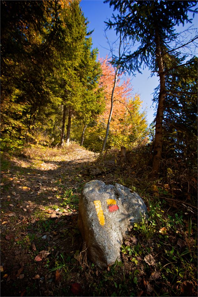 Montée sèche de Villard-sur-Doron - OT des Saisies