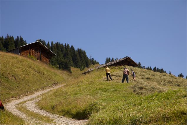 Montée des Pachons - OT des Saisies