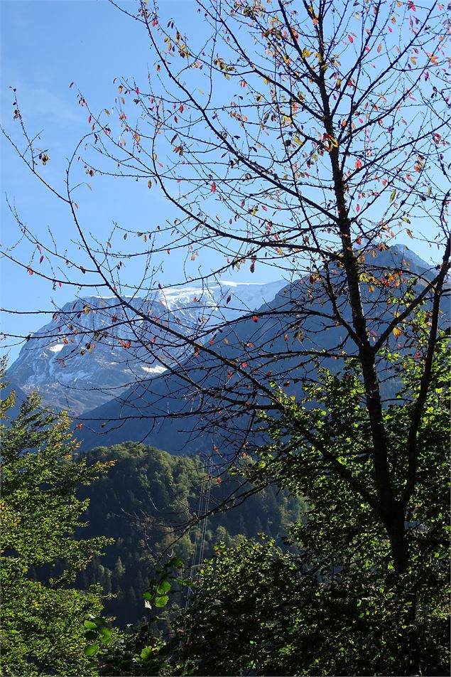 Boucle de Saint-Nicolas à la Combe en passant par les 3 chapelles - M. Mautué