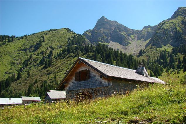 Chalets de Pertuis - Abondance - CCPEVA