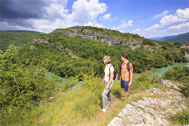 Paysages du Rhône en début de parcours - OT de Yenne