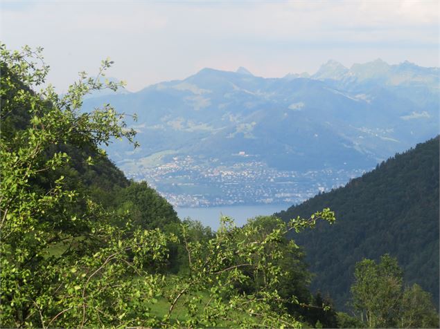 Vue sur le lac Léman - OTPEVA