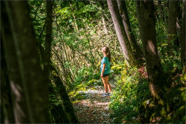 Foret - Christine Haas - Grand Chambery Alpes Tourisme