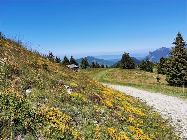 Depuis le sommet du télésiège - OT Alpes du Léman