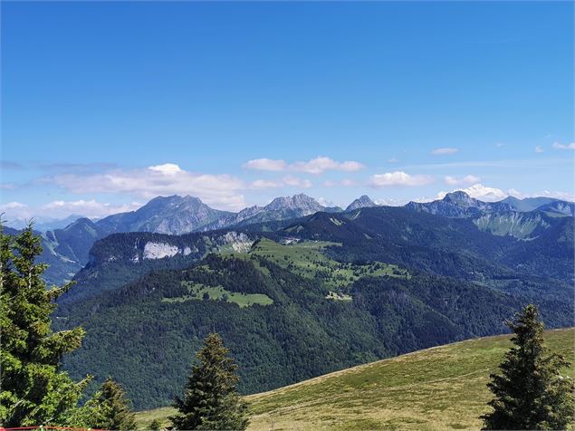 Vue sur la chaine du Mont-Blanc - OT Alpes du Léman