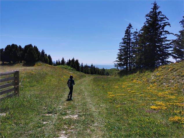 Randonnée estivale - OT Alpes du Léman