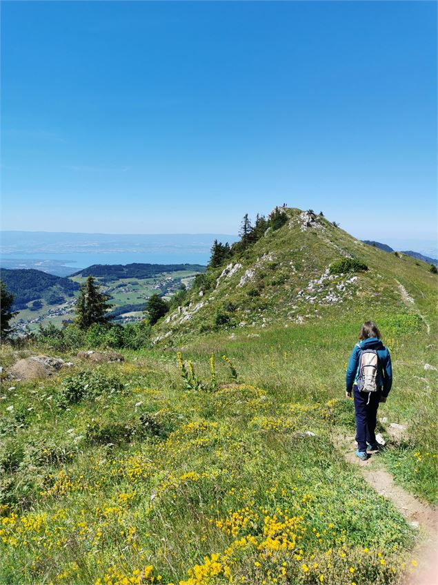 Balade sur les Crêtes - OT Alpes du Léman