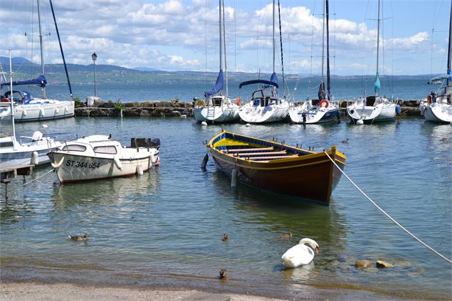 Port des pêcheurs