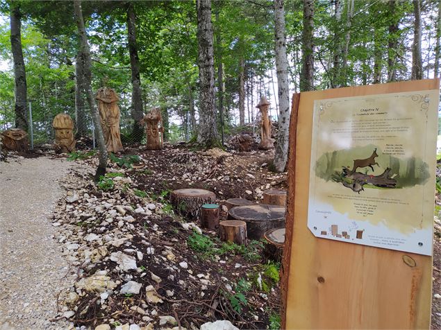 La forêt mystérieuse - S. Thomas/Office de Tourisme du Pays de Gex