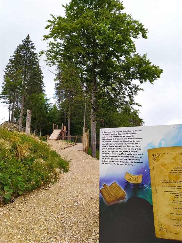 La forêt mystérieuse - S. Thomas/Office de Tourisme du Pays de Gex